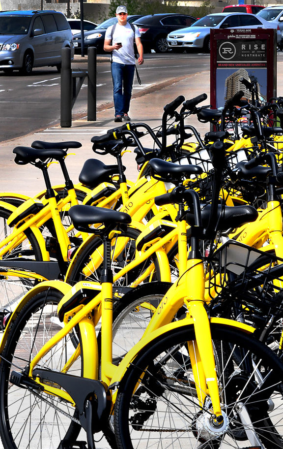 ofo bikes on campus