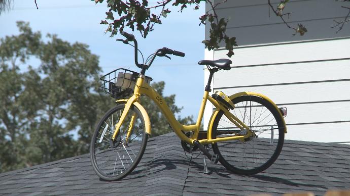 ofo on roof