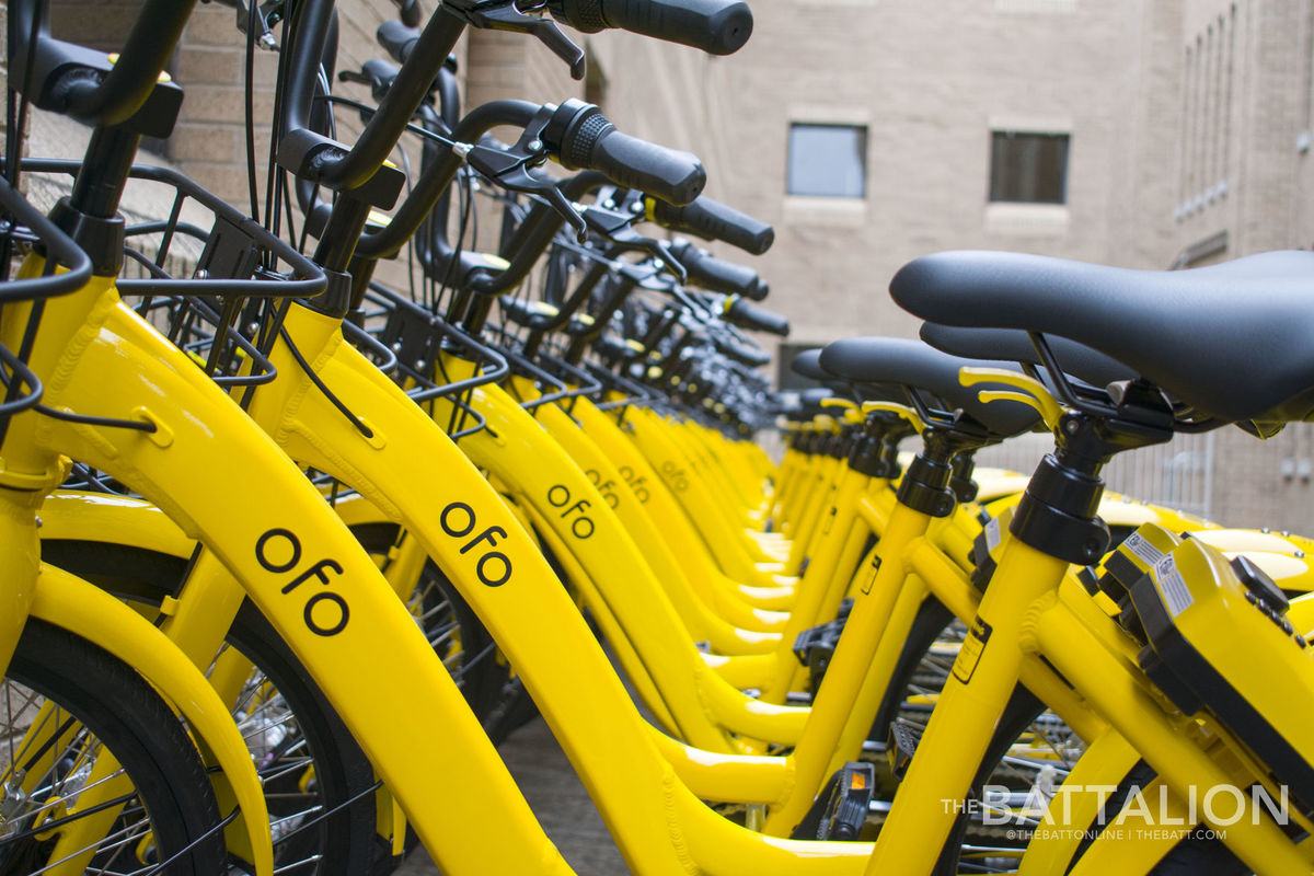 ofo bikes on campus